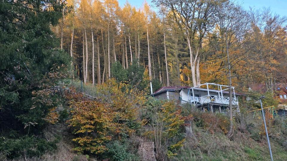 Thumbnail-FerienhausEinfamilienhaus in Nesselhof