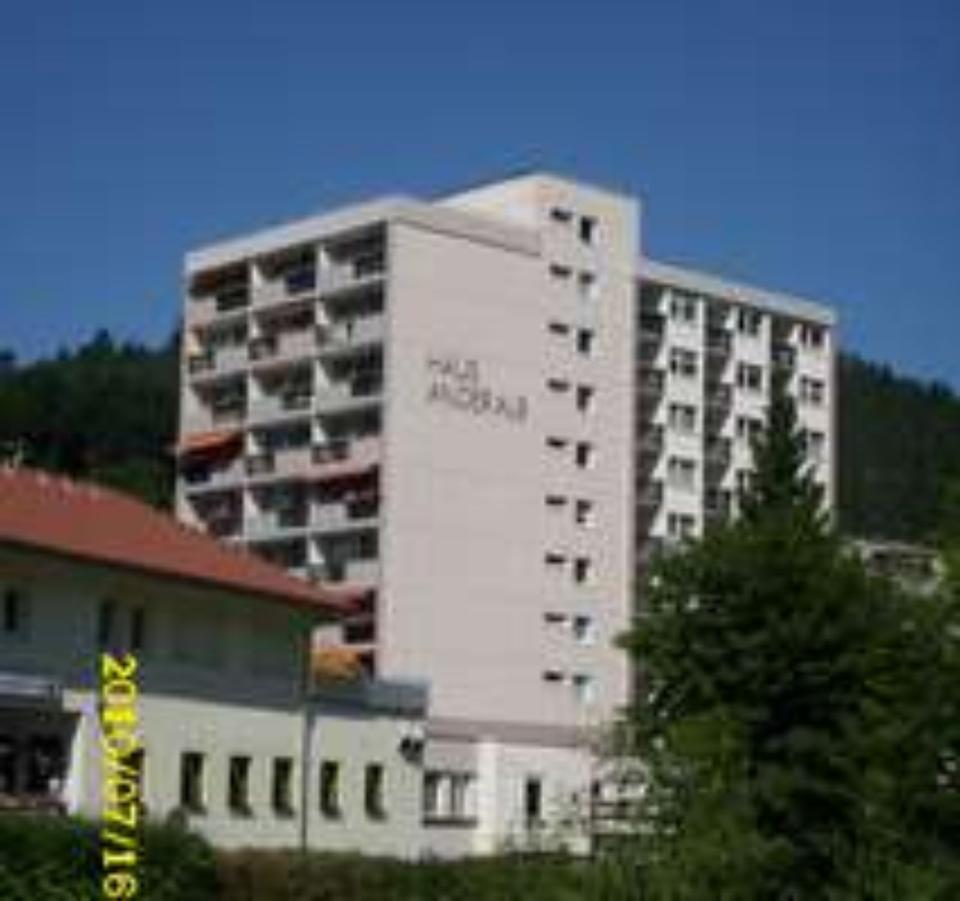 Thumbnail-Mietwohnung in St. Blasien