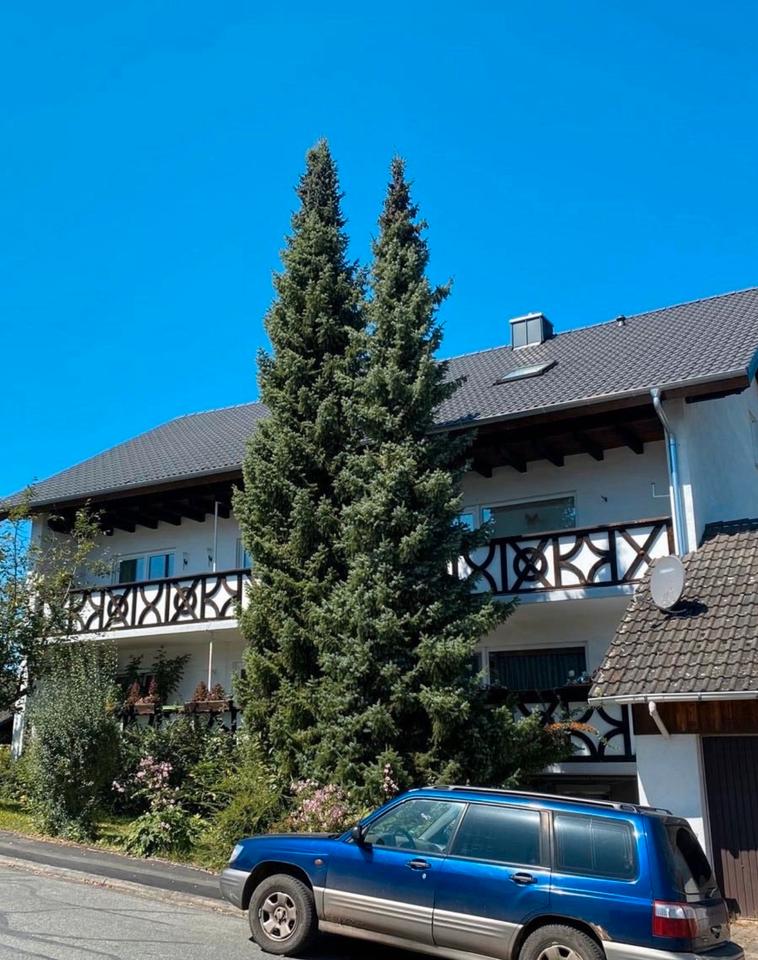 Thumbnail-Mietwohnung in Eschau 60qm