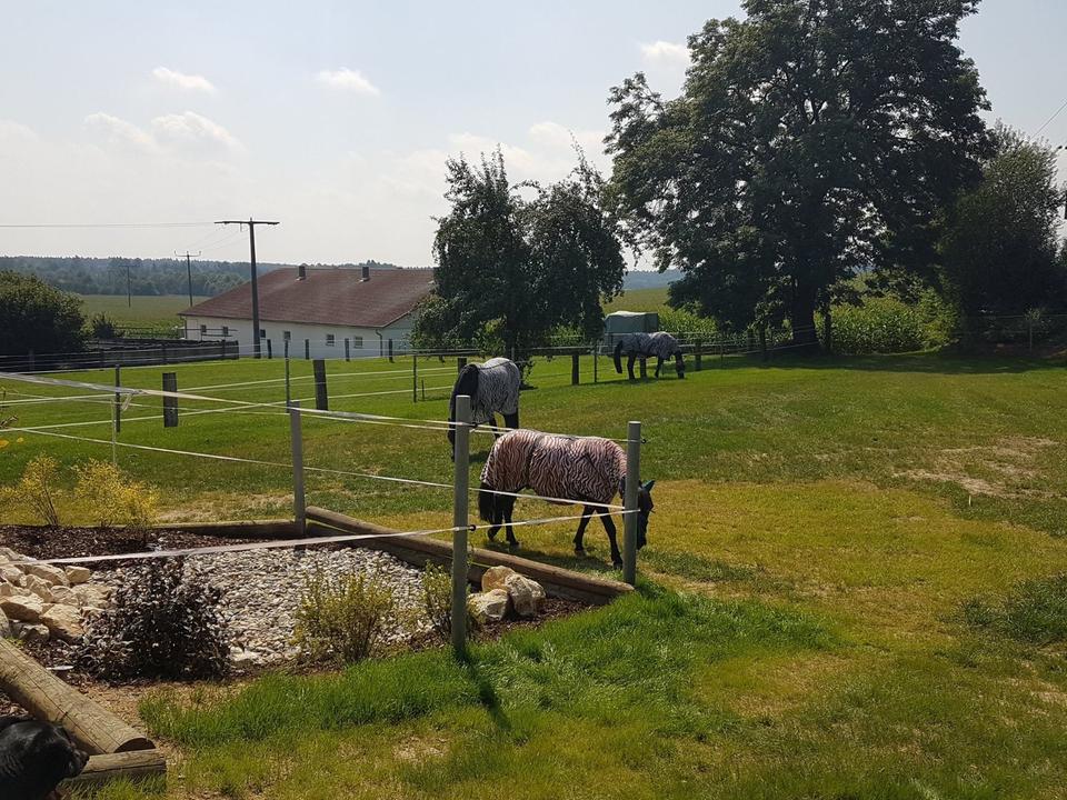 Thumbnail-Kernsaniertes EFH mit großem Grundstück provisionsfrei