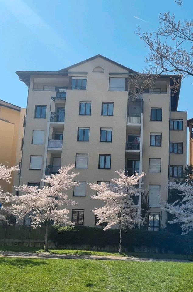 Thumbnail-2-Zimmer-Attika-Whg. Freiburg, Betzenhausen, Seepark