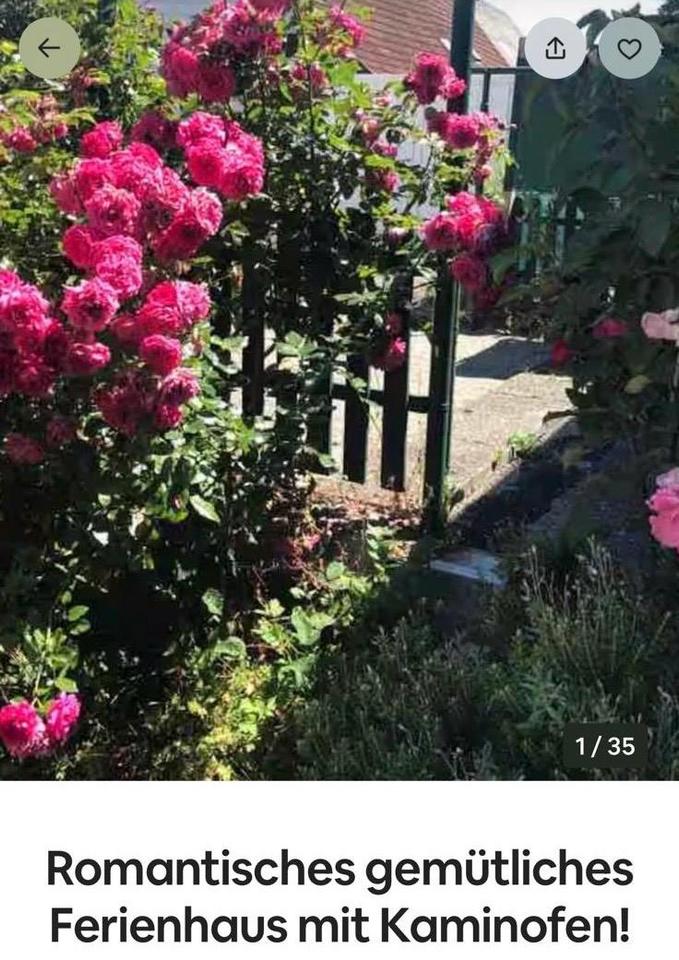 Thumbnail-Chamantes FerienhausEFH. möbl. u. ausgest, 10 km v. Ulm