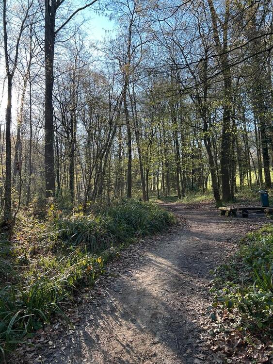 Thumbnail-Erstbezug - sanierte 1,5 Zi. Wohnung inkl. TGEBK