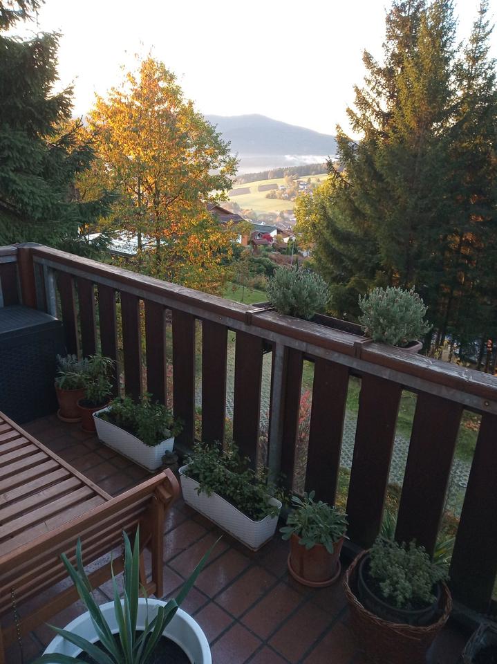 Thumbnail-2ZKB, Balkon, Stellplatz, ruhig, traumhafte Lage, Waldrand