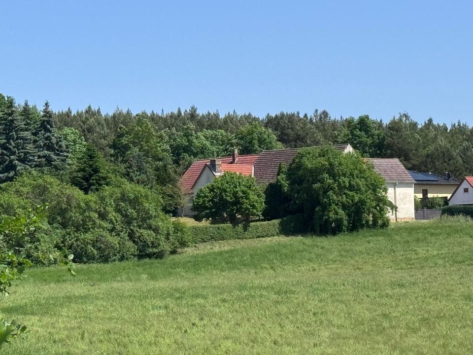 Thumbnail-Einfamilienhaus in Idyllischer Lage