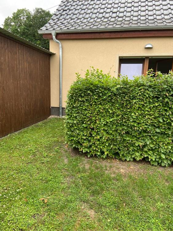 Thumbnail-Ferienwohnung in idyllischer Lage