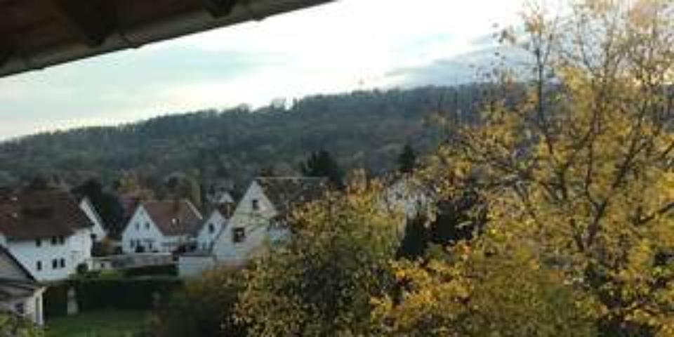 Thumbnail-Klüt-Viertel: Schöne 4-Zimmer-Erdgeschosswohnung mit Balkon