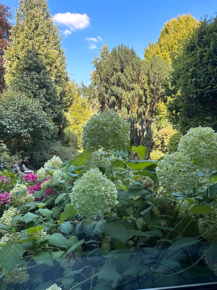 Thumbnail-Möblierte Gartengeschoß Wohnung zu vermieten