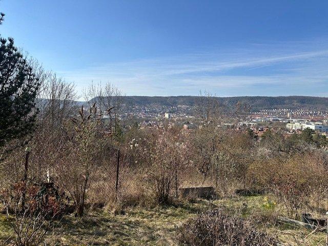 Thumbnail-Garten ab 1.4. in Jena Ost zu vermieten für 80 EuroMonat