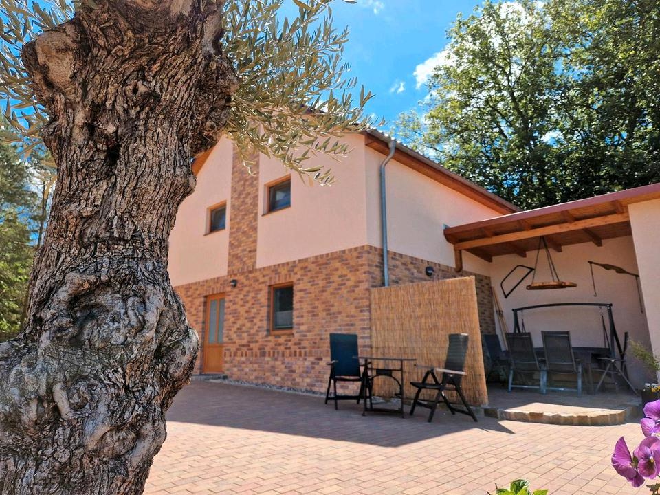 Thumbnail-Ferienhaus Fürstensee, Pool + See, direkt am Wald, Nationalpark