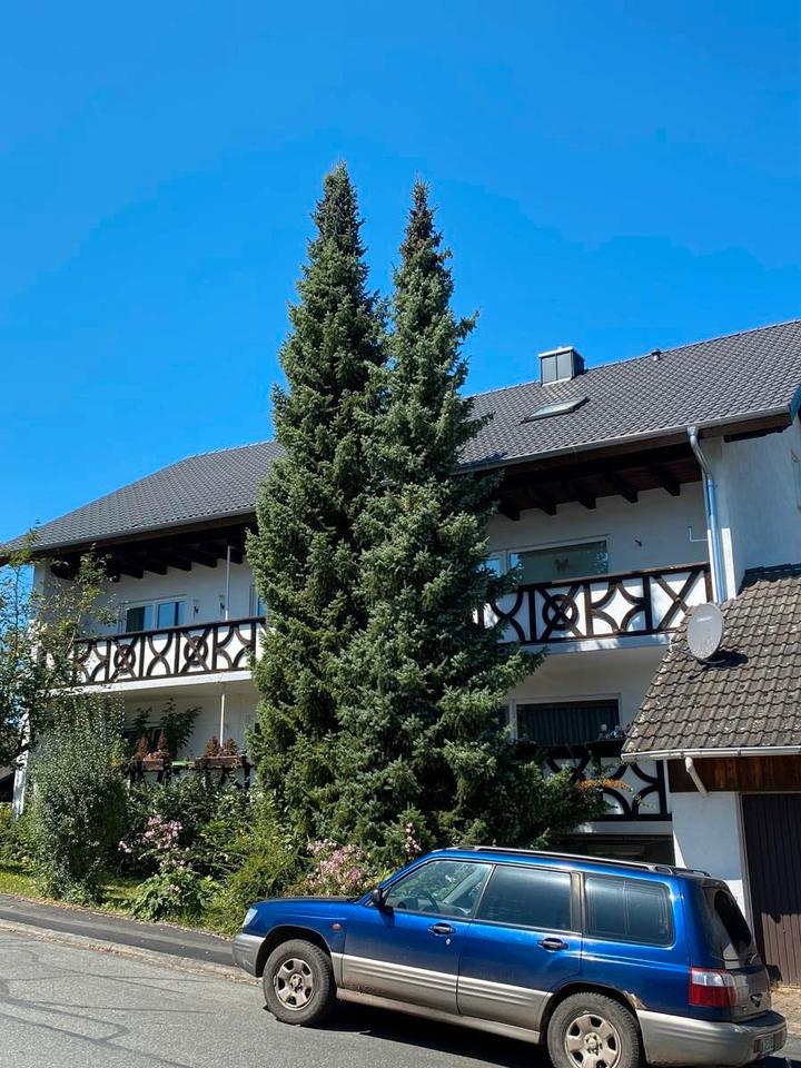 Thumbnail-Mietwohnung Wohnung Eschau