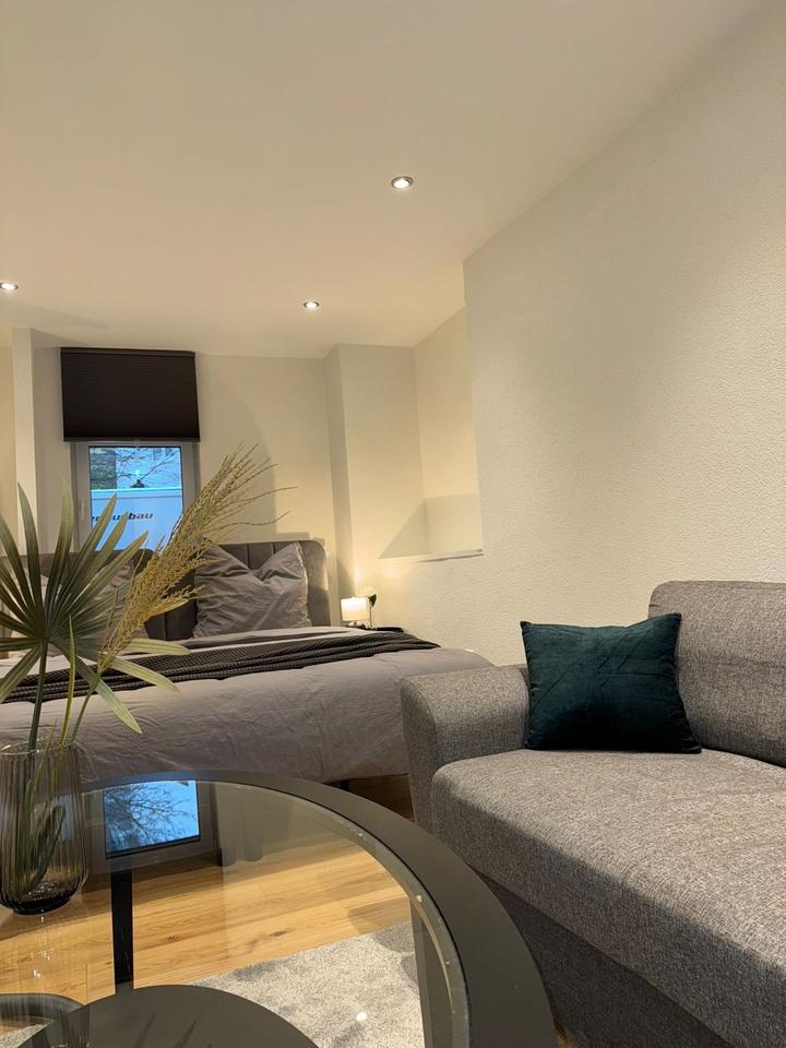 Thumbnail-Möbelierte 1,5 Wohnung in Neckarsteinach