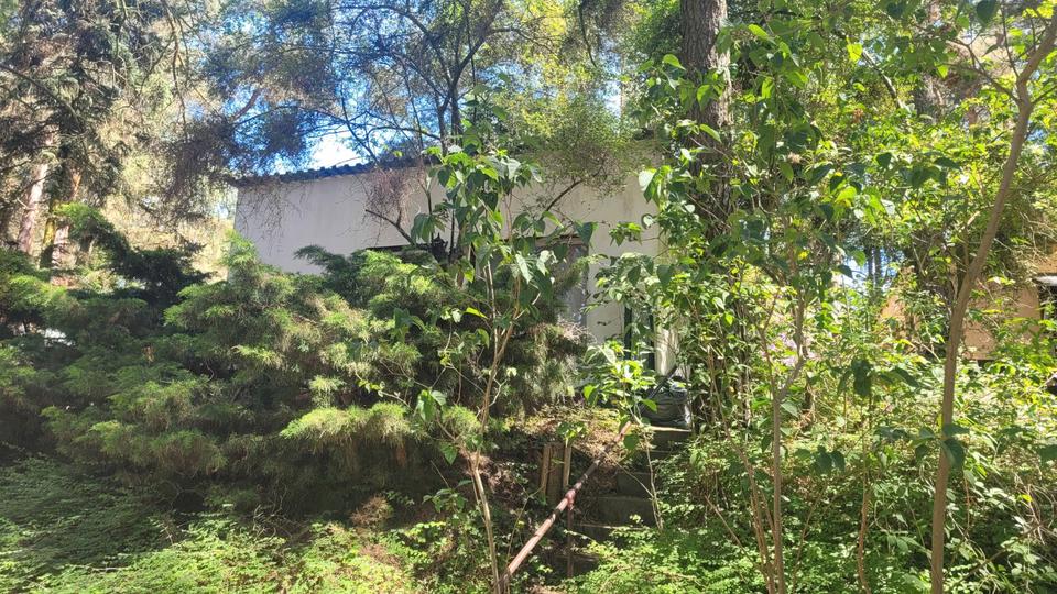 Thumbnail-Bungalow am Mochowsee