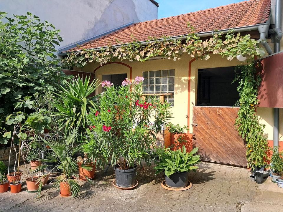 Thumbnail-Hofreite mit Pferdeboxen