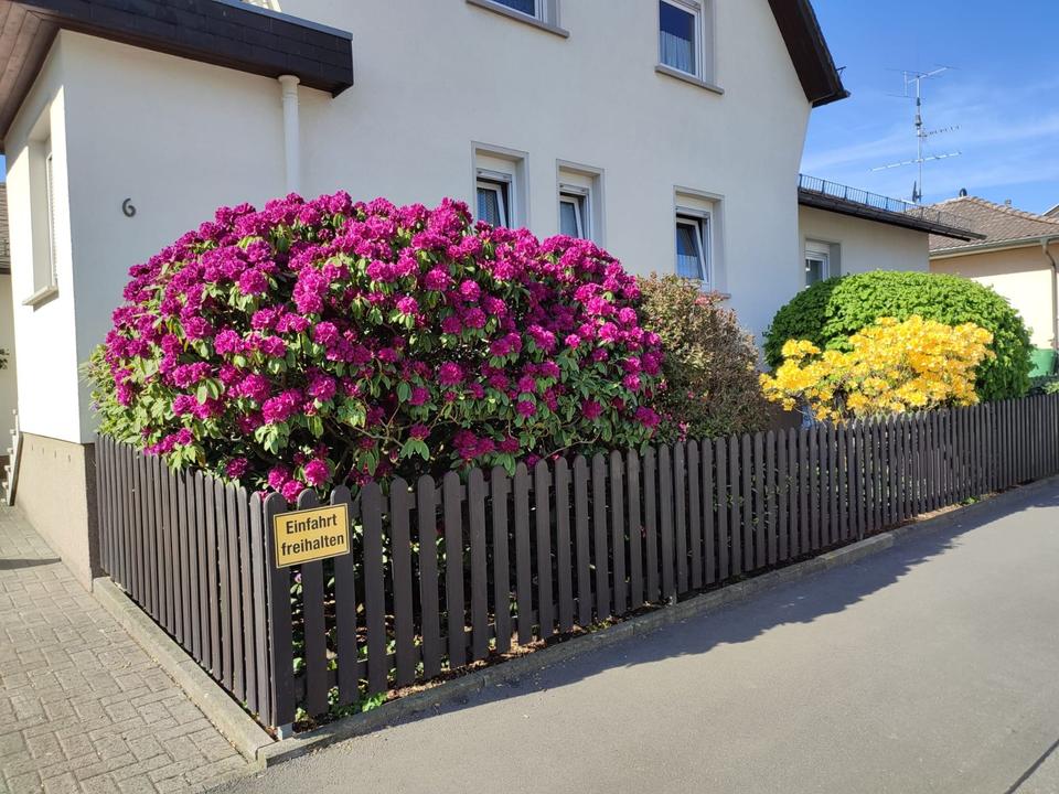 Thumbnail-Einfamilienhaus mit großem Grundstück in ruhiger Wohnlage