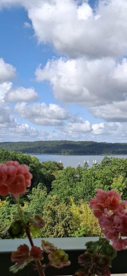 Thumbnail-3-Zimmer - Wohnung mit Loggia in Wald - und Seenähe
