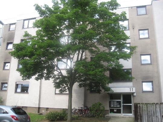 Thumbnail-Ansprechendes, individuelles 1-Zimmer-Appartment