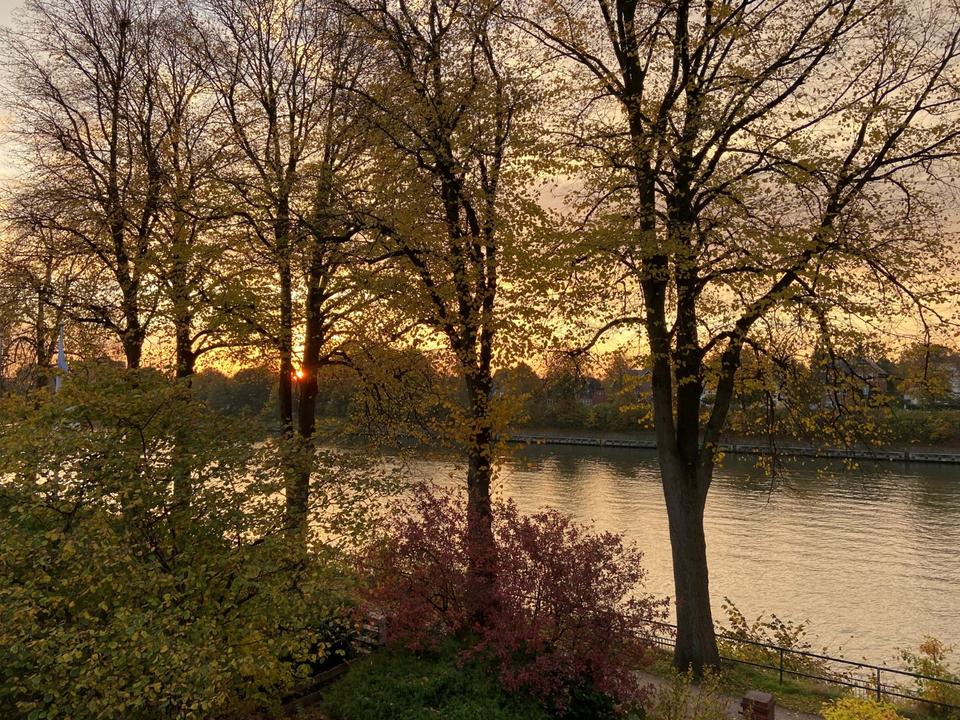 Thumbnail-Nachmieter