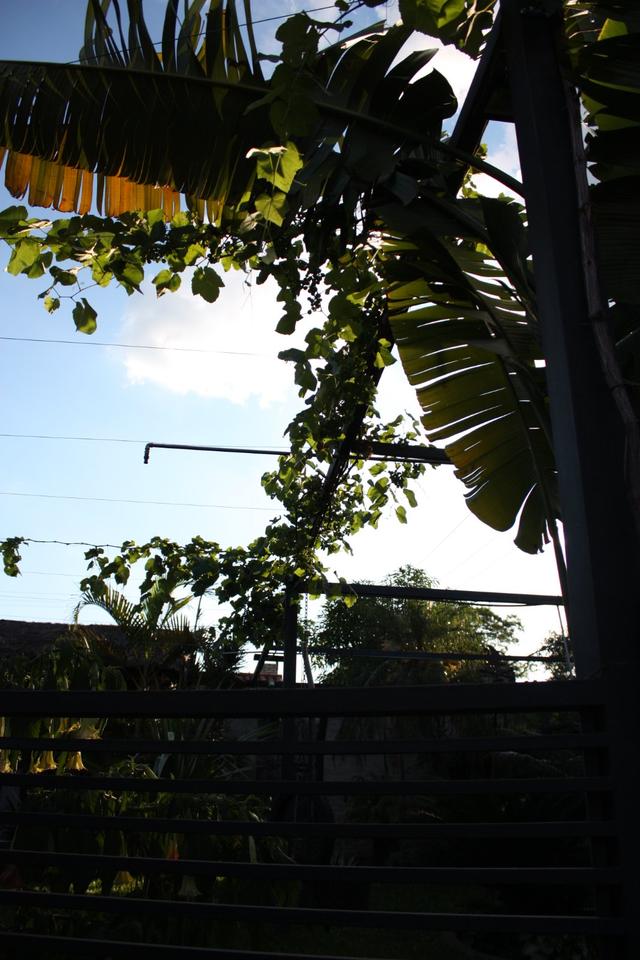 Thumbnail-Paraguay -.Gepflegtes Stadthaus mit Pool und Garten in Aregua,