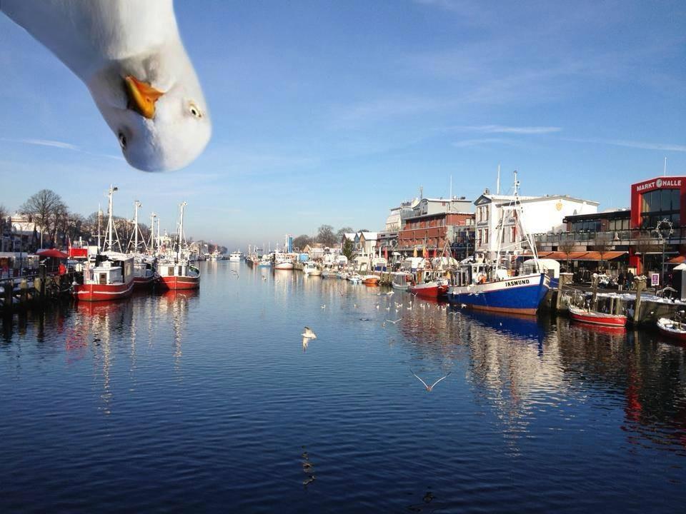 Thumbnail-2 Zi Mietwohnung in Warnemünde (möbliertteilmöbliert)