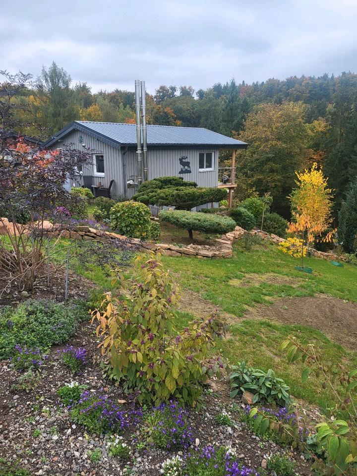 Thumbnail-kleines Haus in der Natur