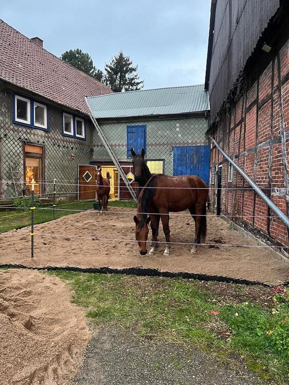 Thumbnail-Traumhafter Hof mit Pferdehaltung – Ihr idyllisches Zuhause