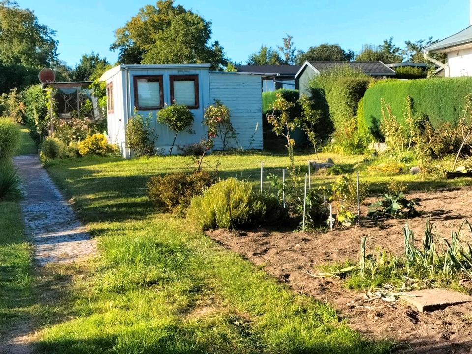 Thumbnail-Kleingarten auf Rügen Lancken-Granitz