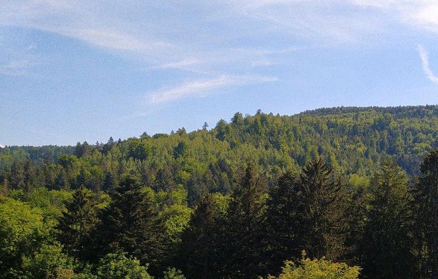 Thumbnail-Sehr schöne ETW mit traumhafter Aussicht!