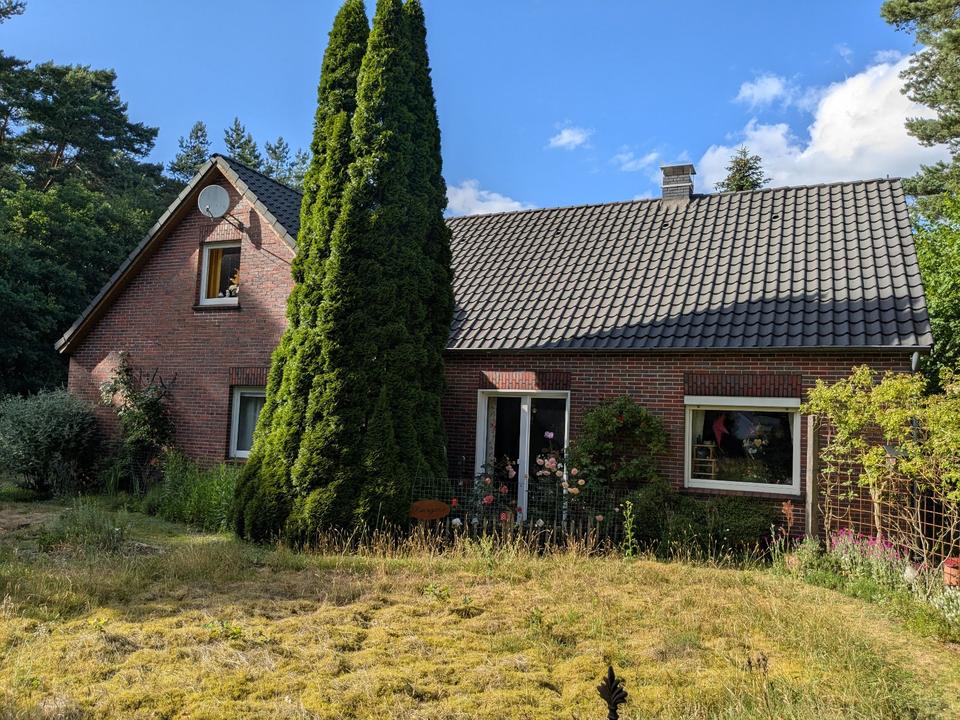 Thumbnail-Traumhaus mitten im Waldgebiet Hollesand, Uplengen