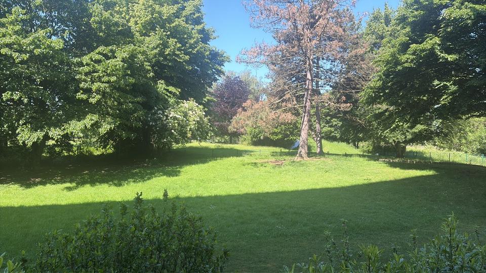 Thumbnail-Wohnung in Uerdingen
