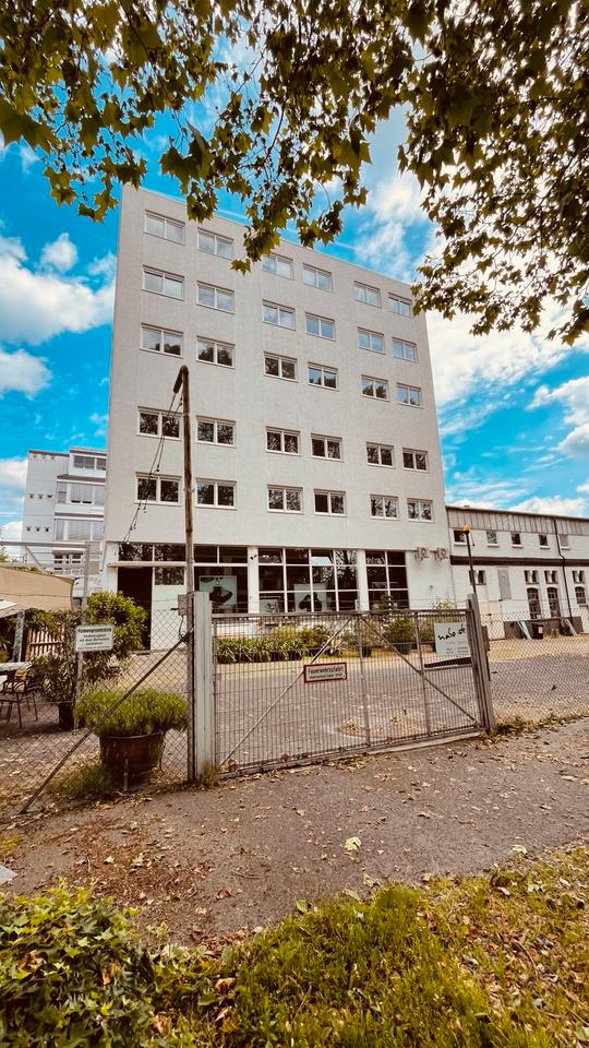 Thumbnail-240 m2 direkt am Rhein Büro