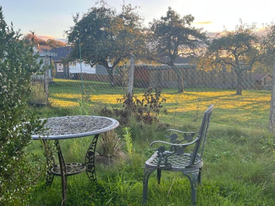 Thumbnail-Ferienhaus am Bostalsee - freistehend, ruhig, Garten, Hunde