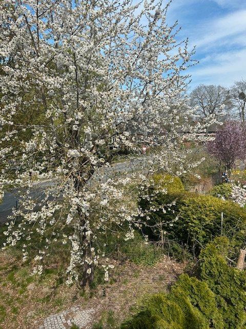 Thumbnail-OSTERAKTION ruhige 3,5R 84qmDG Rundblick Eckwanne Garten