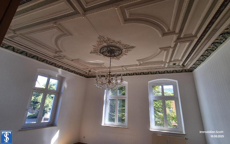 Thumbnail-Exklusive Gelegenheit: Repräsentative GewerbeflächeWohnung in Plauens Bestlage!