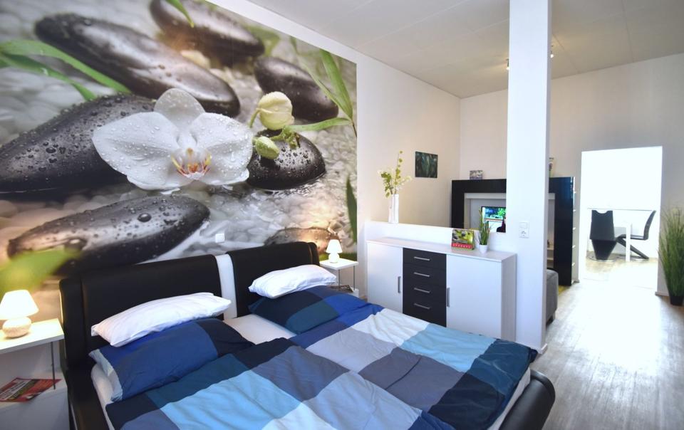 Thumbnail-Geräumiges 1-Zimmer-Apartment, voll ausgestattet für Single oder Pärchen, Raunheim