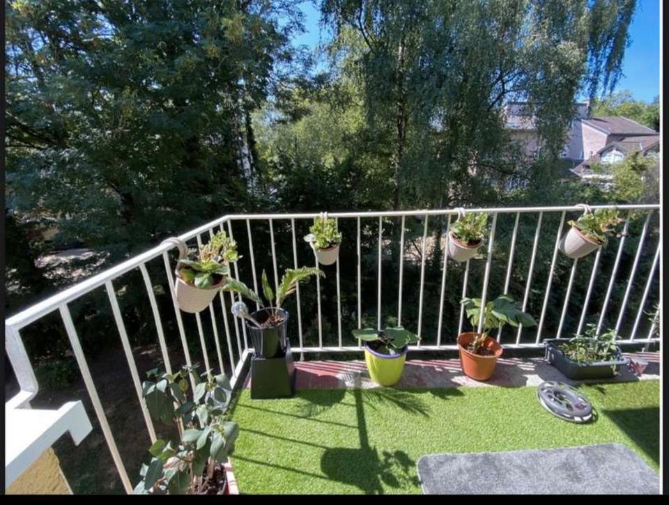 Thumbnail-Gepflegte 2-Zimmer Wohnung in Essen