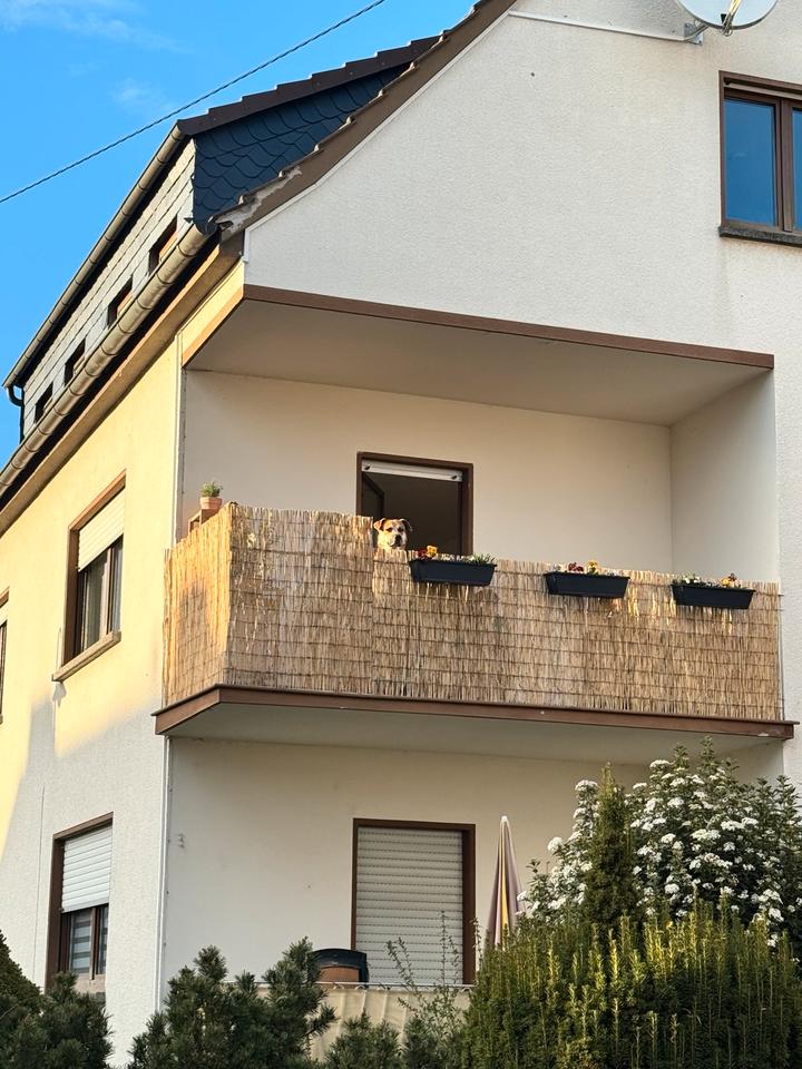 Thumbnail-3 Zimmer Wohnung Niederwerth