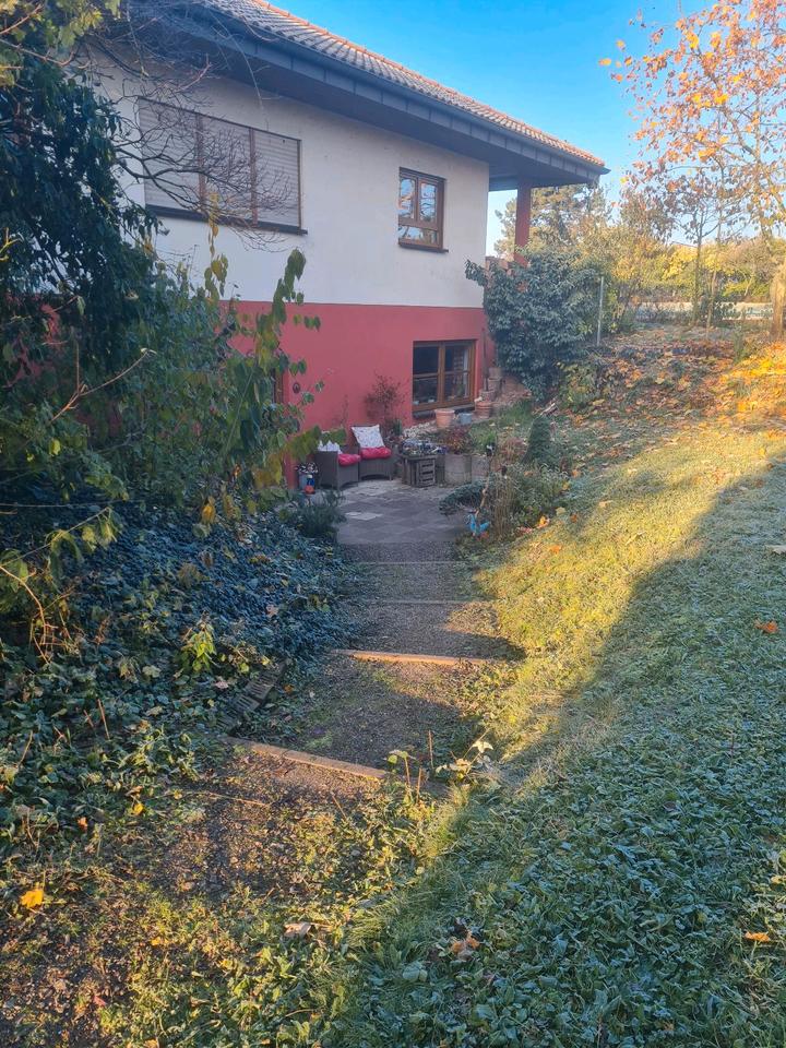 Thumbnail-Wohnidylle Pur - zwischen Pferden und Koppeln!