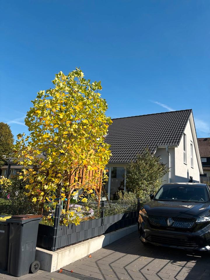 Thumbnail-Einfamilienhaus mit Garage (Energieeffizienter Neubau 2021)