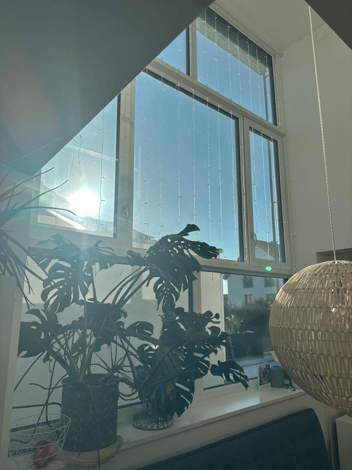 Thumbnail-Architekten - Doppelhaushälfte mit Galerie, XXL Fensterfront