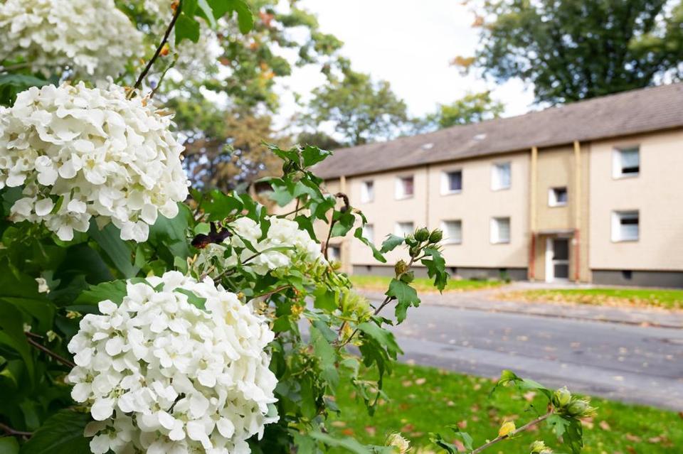 Thumbnail-Klein, fein, zentral: EG-Wohnglück auf zwei Zimmern