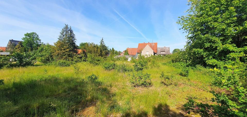 Thumbnail-Haus mit großem Grundstück im schönen Wagenhoff - ohne Makler