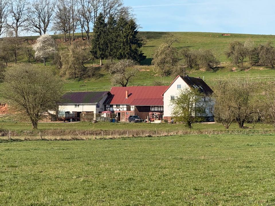 Thumbnail-Wohnen im grünen mit Pferd? Drei Zimmer Küche Bad