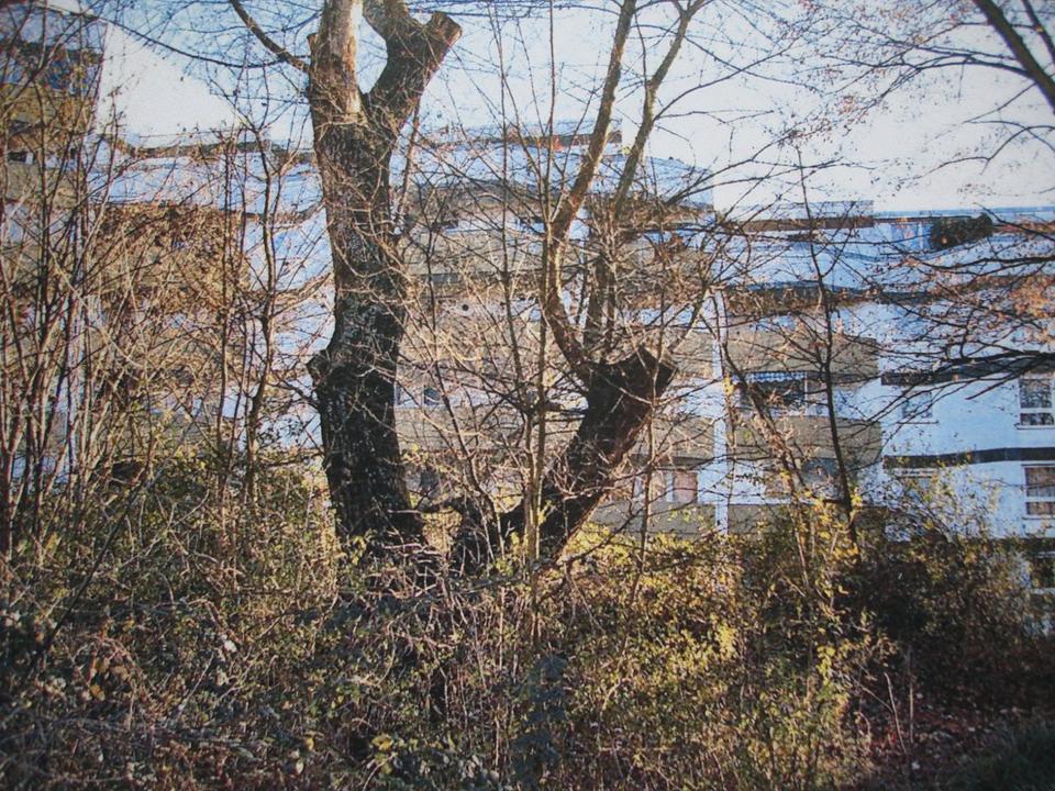 Thumbnail-Wohnung zum Verkauf in Müllheim Baden von privat