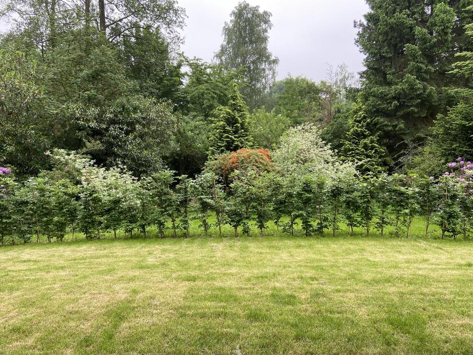 Thumbnail-Wunderschöne moderne EG Wohnung mit eigenem Garten