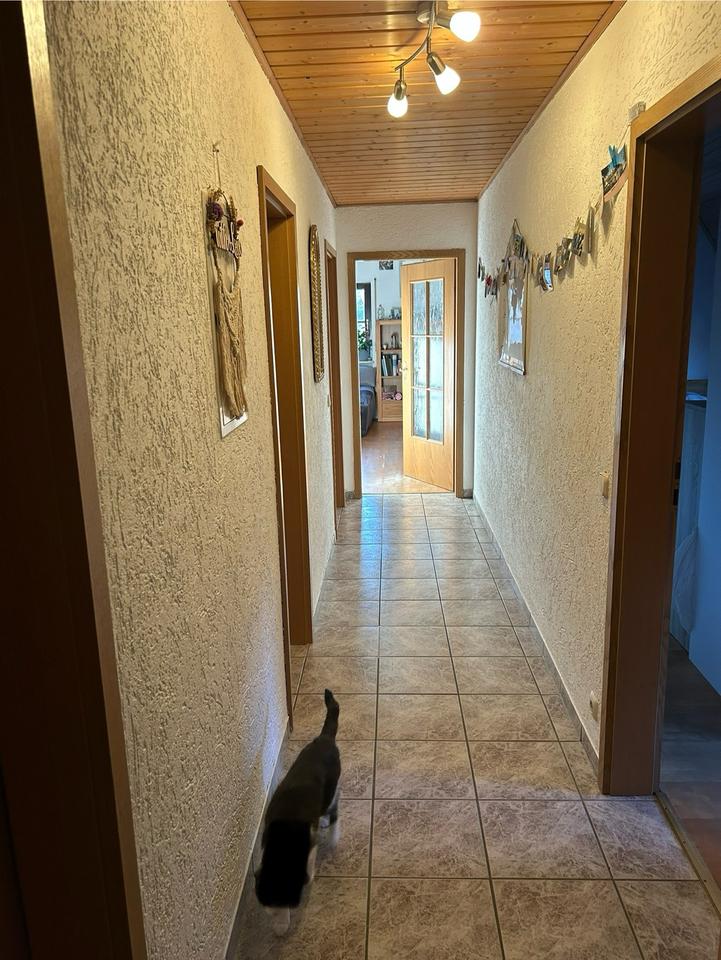 Thumbnail-2 Zimmerwohnung im Knoblauchsland WG möglich