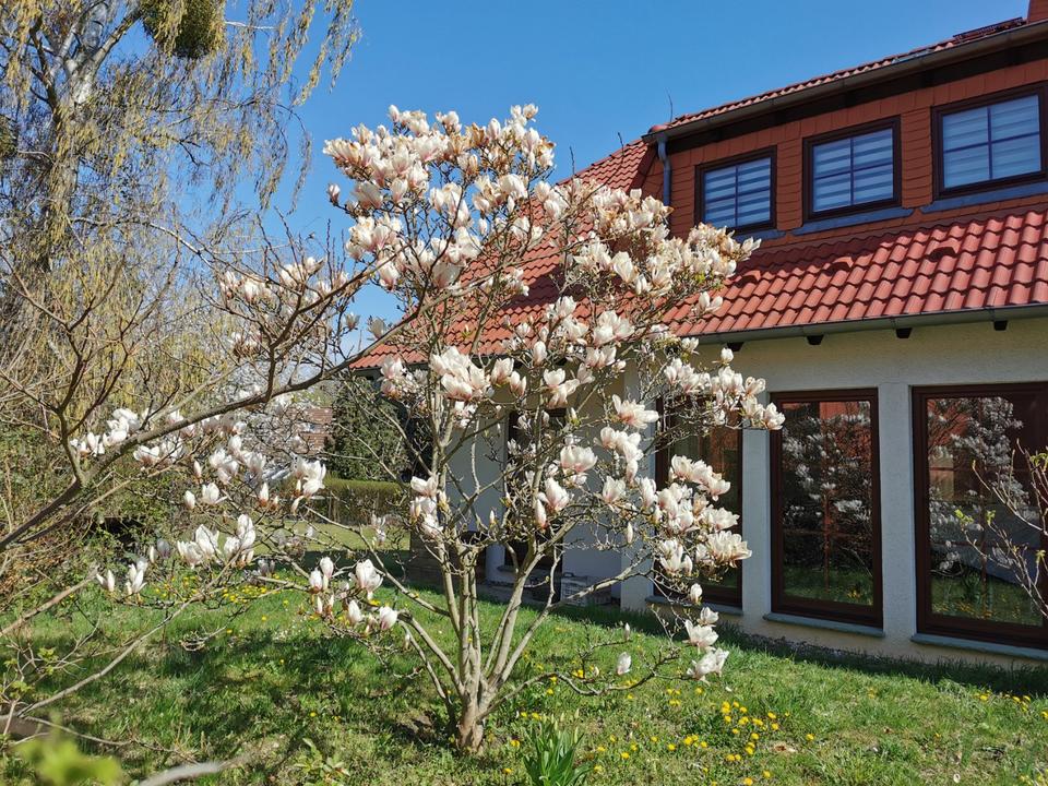 Thumbnail-Haus auf Zeit b. Berlin, 6 Zi, 2 Bäder, Wallbox