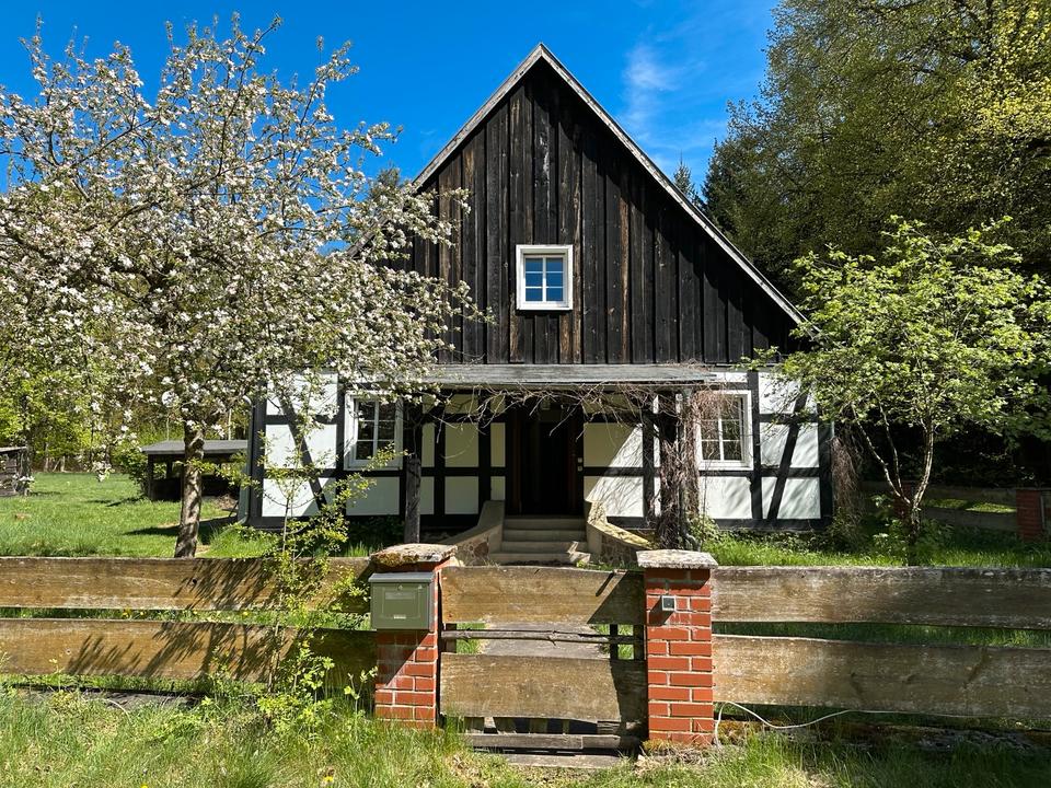 Thumbnail-Zimmer in Traumhaften Waldhaus bei Fürstenberg an der Havel