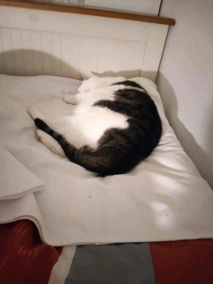 Thumbnail-Zimmer zu vermieten