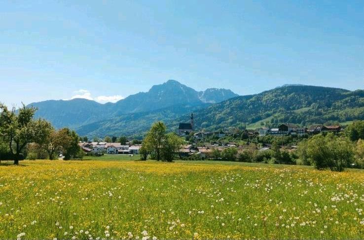 Thumbnail-Ein Zweifamilienhaus Haus mit 5000qm Grundstück zu verkaufen